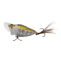 Axia Chub Bugs 4cm/6g